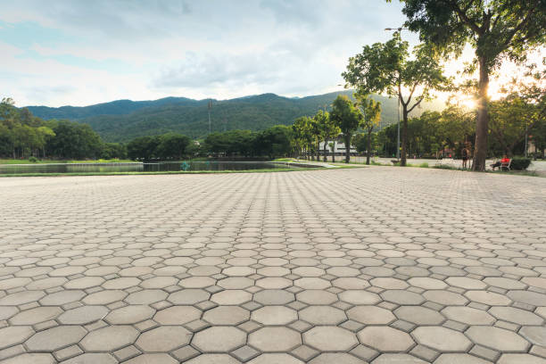 Best Driveway Paving Contractor  in Willimantic, CT